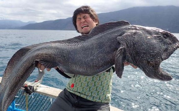 Рыбак в Японии поймал огромную рыбу мутанта